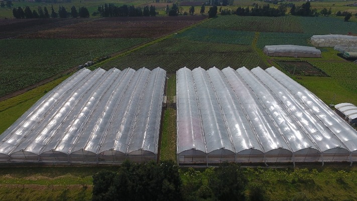 Fotografía de referencia de predios agrícolas en Funza para apoyar el contexto territorial del análisis